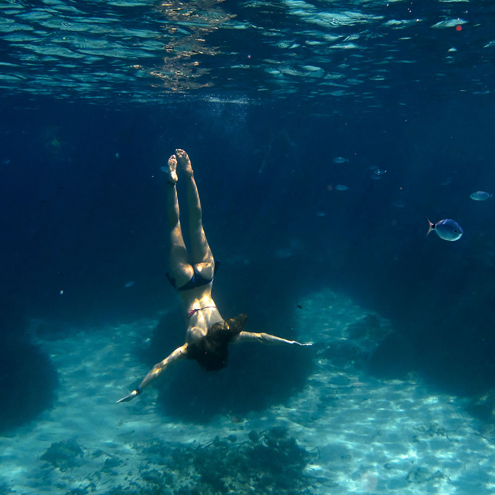 oxigeno_Menorca_round_footer Dios los bendiga por no cazar aquí